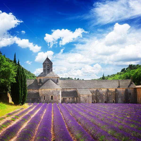 7059173_stock-photo-abbey-senanque-and-lavender-field-france