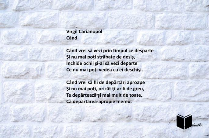virgil-carianopol-cand